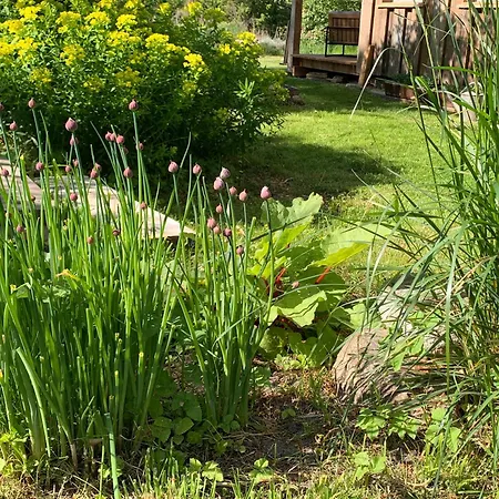 Sommerhaus * Zuelow