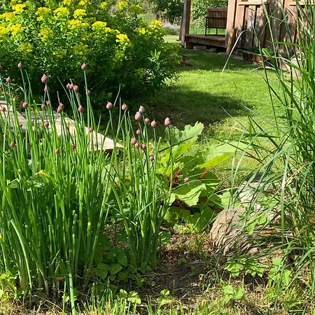 Sommerhaus