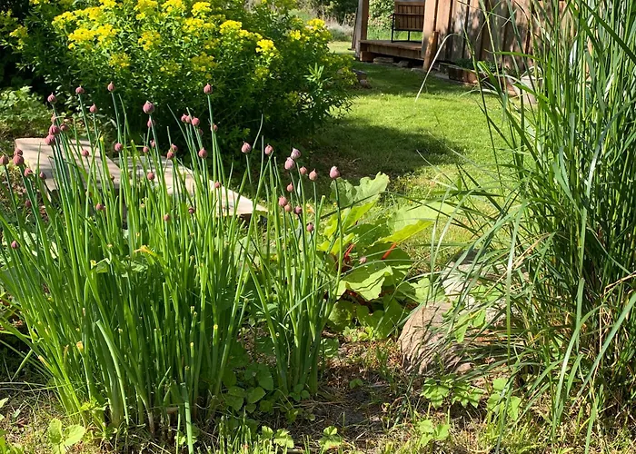 Sommerhaus * Zuelow